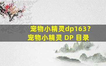 宠物小精灵dp163？宠物小精灵 DP 目录